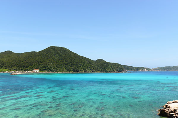 DAY3 慶良間諸島マリンクルーズ